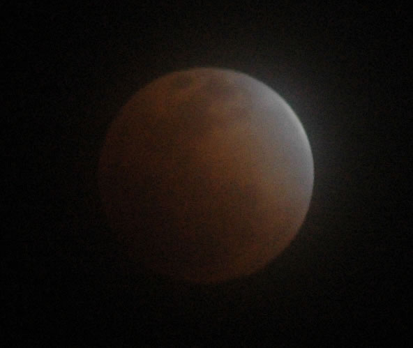 DSC_6465.jpg