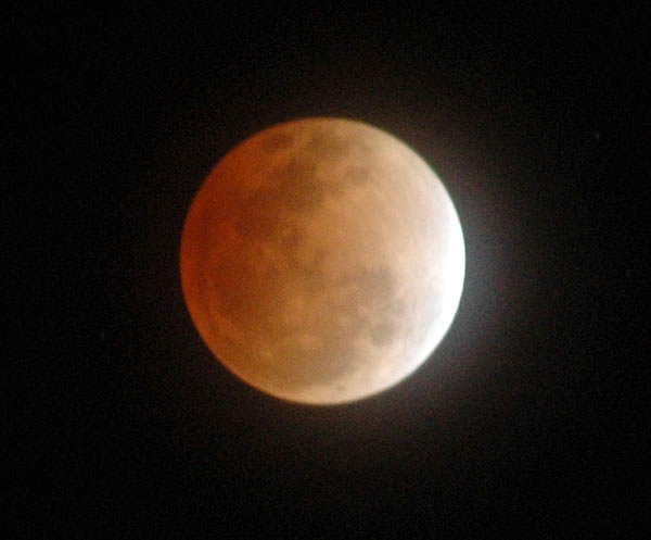 DSC_6479.jpg