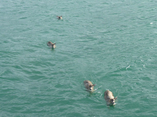 image001.jpg
