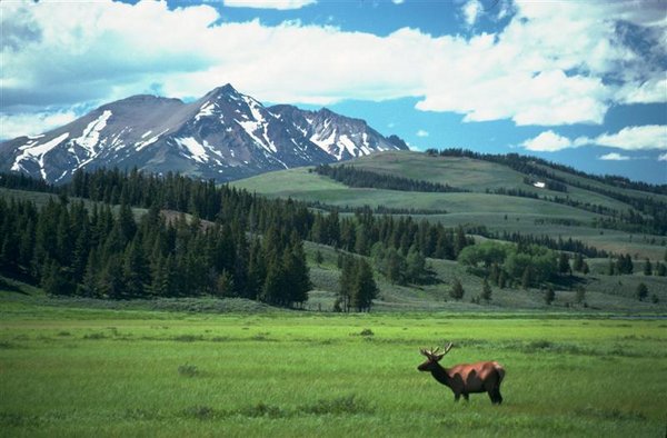 Elk Mountians (Medium).jpg