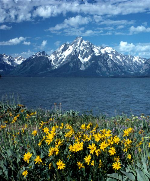 Tetons Lake (Medium).jpg