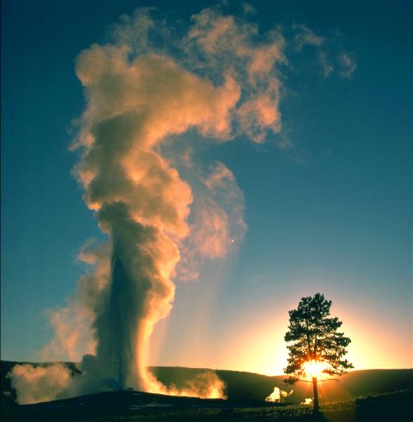 Old Faithful (Medium).jpg