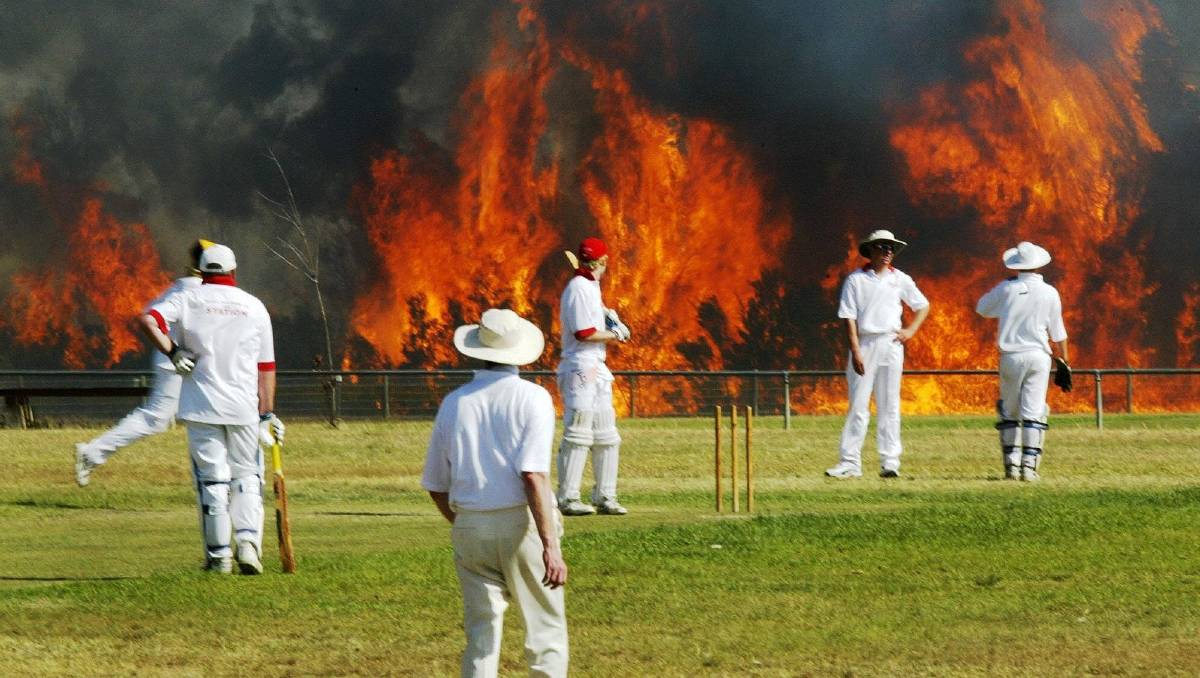 cricket.jpg