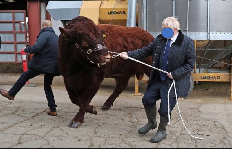 Boris.jpg