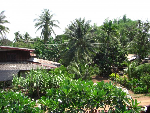 php3WfUTkAM.jpg