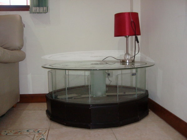 DSC01315.jpg