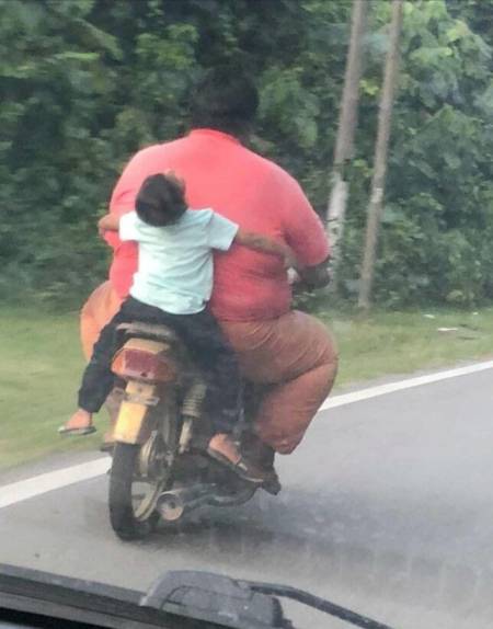 Sumo.jpg