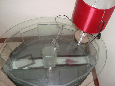DSC01313.jpg
