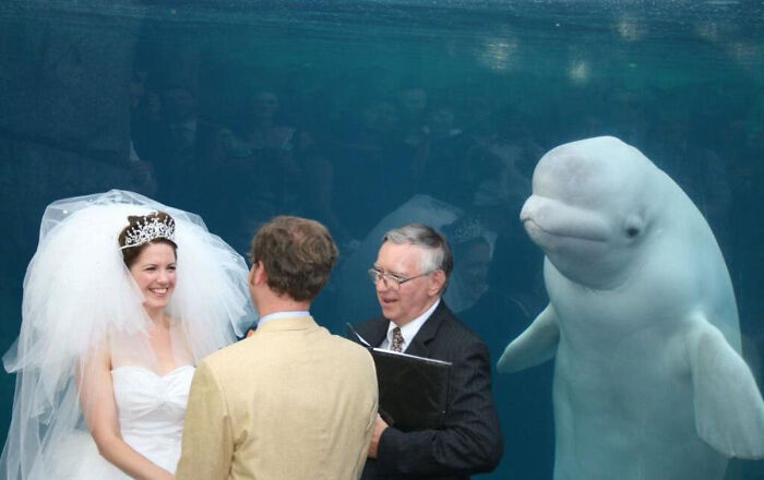 Wedding.jpg
