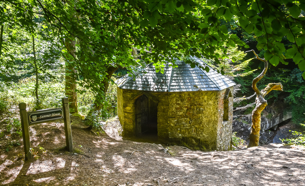 DSC_4478.jpg