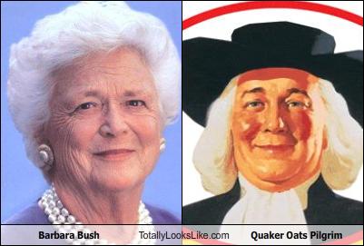 OatsAndBush.jpg
