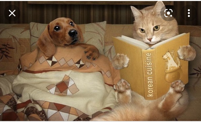 Reading.jpeg
