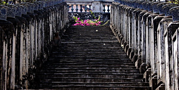 a33-2012-02-08-01649-StairsFlowerTop-8.jpg