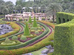 garden 2.jpg