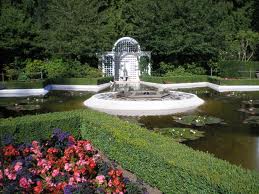 garden 4.jpg