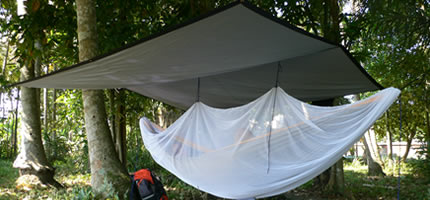 mosquito_net1.jpg