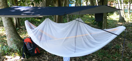 mosquito_net2.jpg