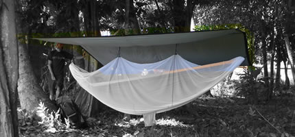 hammock_tarp1.jpg