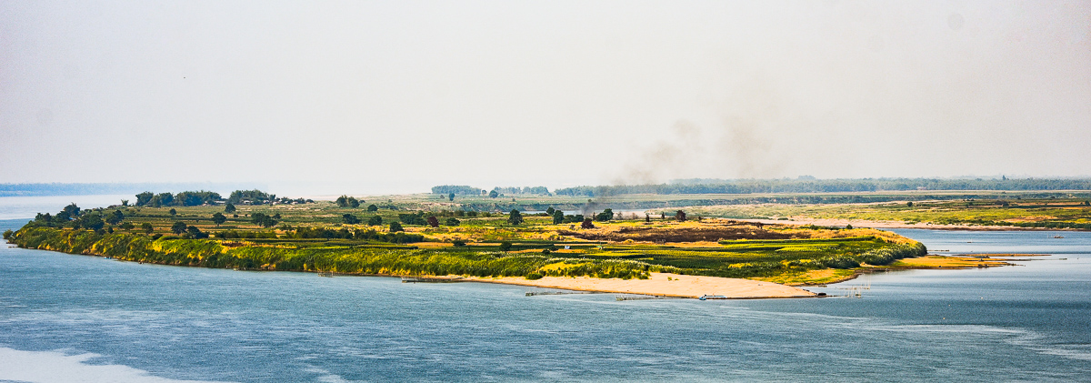 DSC_4955.jpg