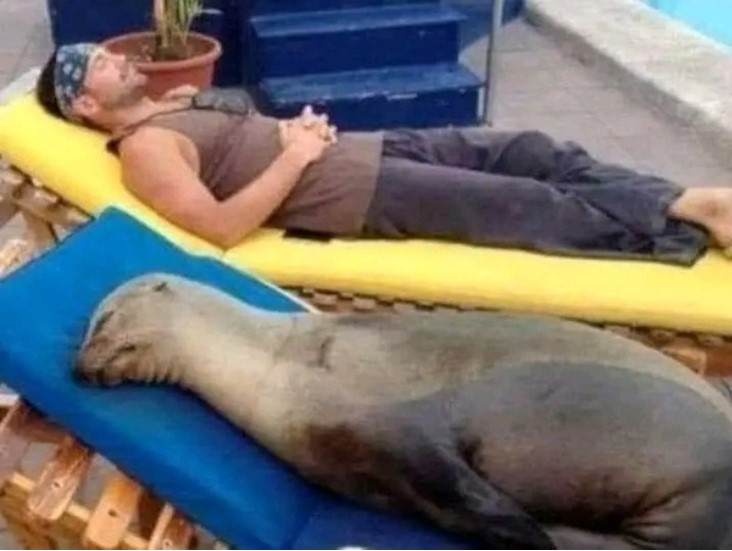 sleep.jpg