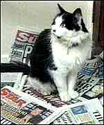 Humphrey_mouser.jpg