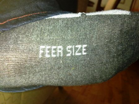 FEER.jpg
