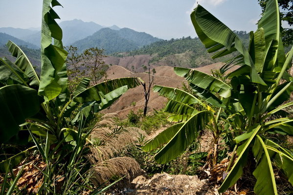 Nan View