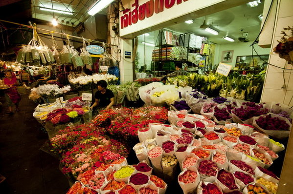 DSC_0511_resize_resize.JPG