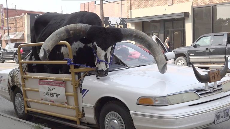 Horns.jpg