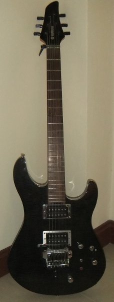 Front View. Notice the MIDI pickup between the bridge pickup and the bridge itself.