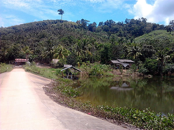 lake4.jpg