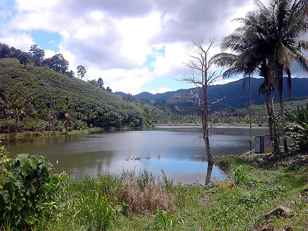 lake2.jpg