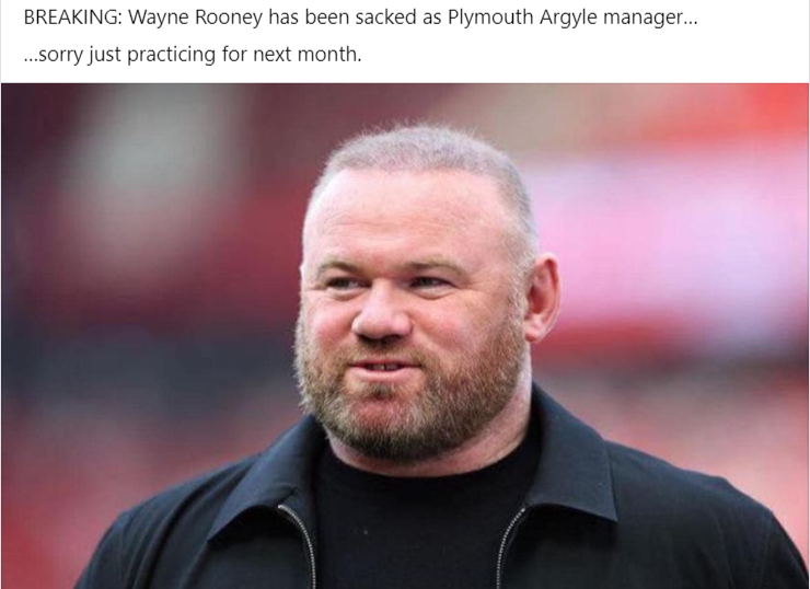 Wayne.png