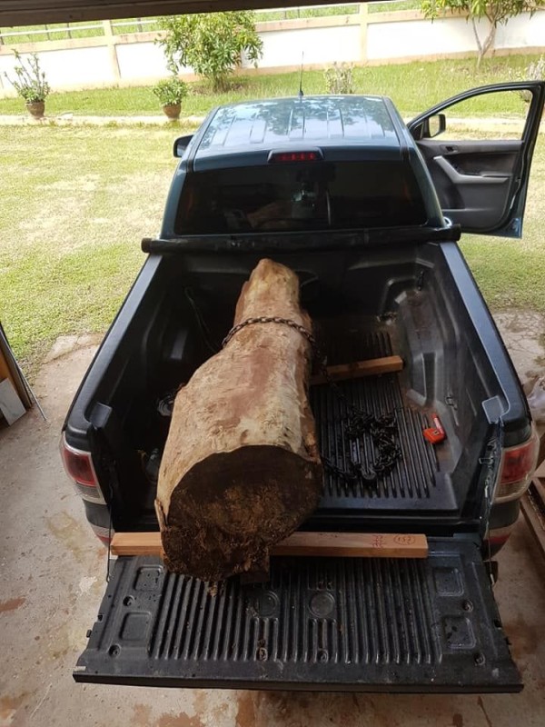 Wood.jpg
