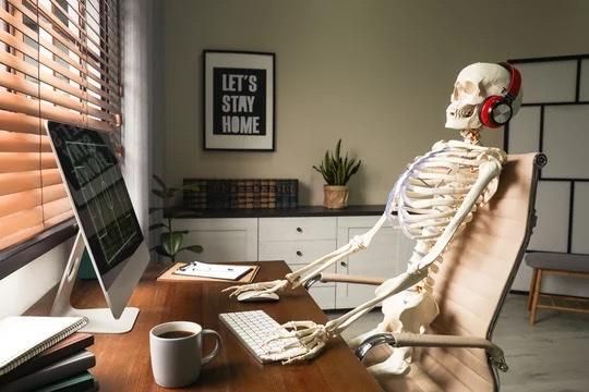 Bones.jpg