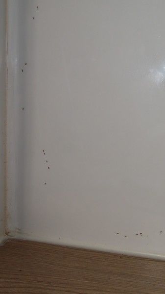 IMG_3776.jpg
