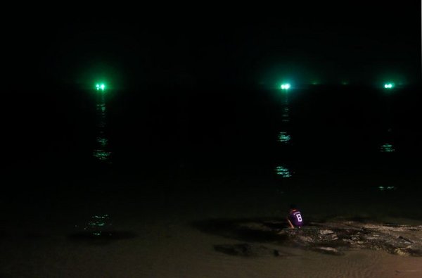 02204-SquidLights.jpg