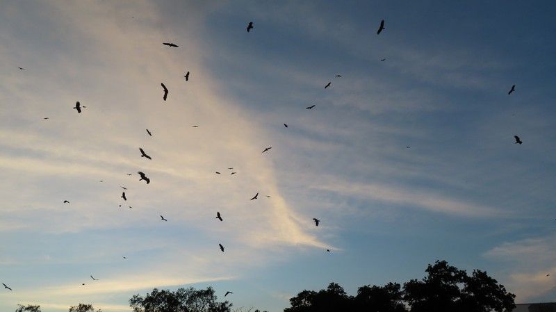 IMG_5352.jpg