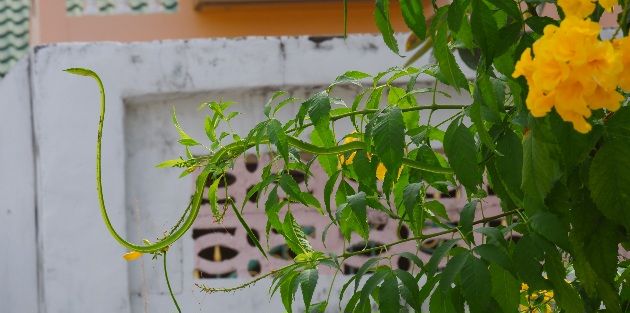 DSCF5149.JPG