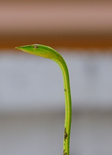 DSCF5151.JPG