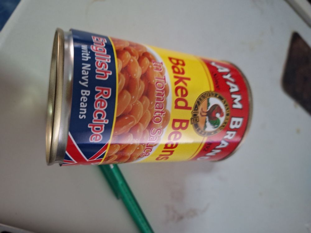 Ayam.jpg