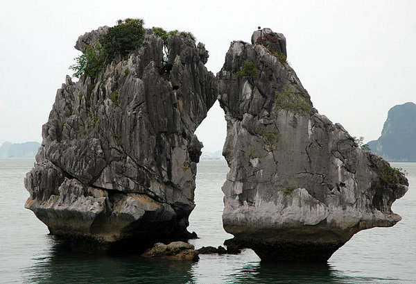 DSC_7266.jpg