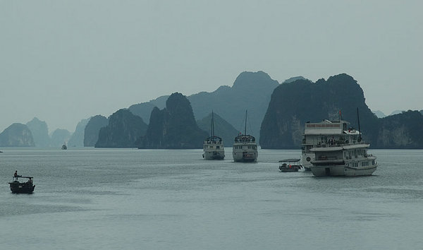 DSC_7298.jpg