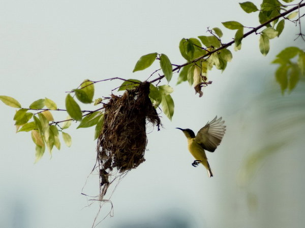 On my balcony in BKK.