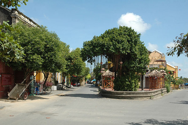 DSC_7969.jpg