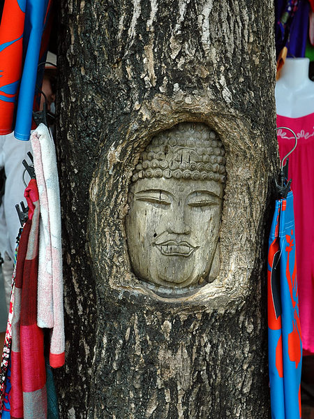 DSC_8097.jpg
