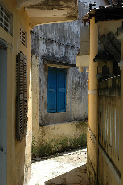 DSC_8311.jpg