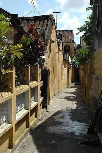DSC_8312.jpg