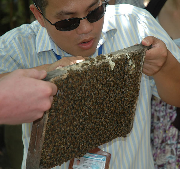 DSC_8557.jpg