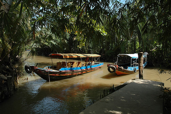 DSC_8595.jpg